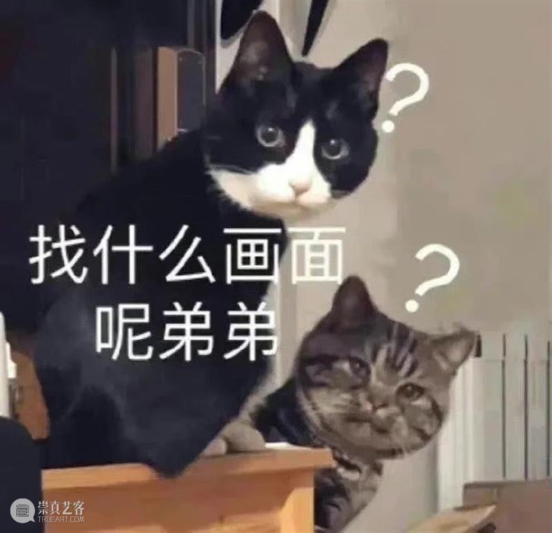 《速度与激情10》发布正式预告;《暮光之城》将拍剧版 崇真艺客