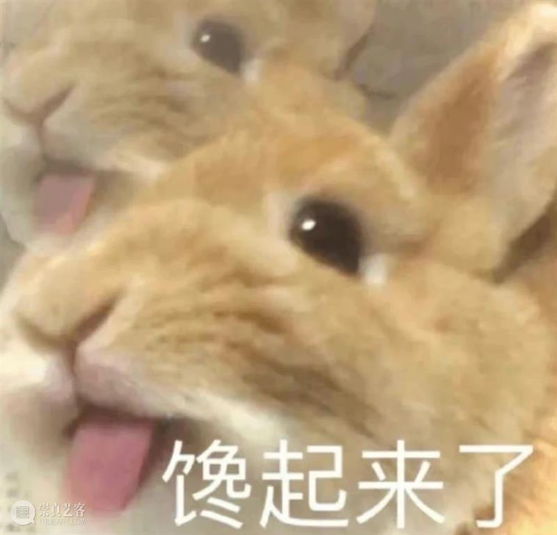 《速度与激情10》发布正式预告;《暮光之城》将拍剧版 崇真艺客