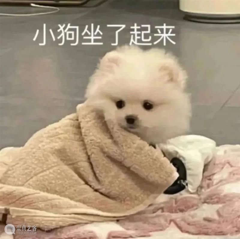 《速度与激情10》发布正式预告;《暮光之城》将拍剧版 崇真艺客