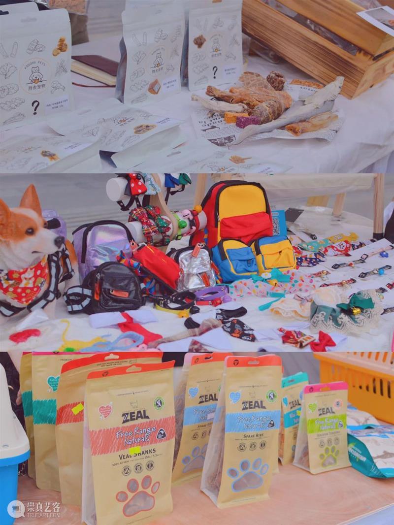 首届萌宠户外party,共建人宠露营新场域! 崇真艺客