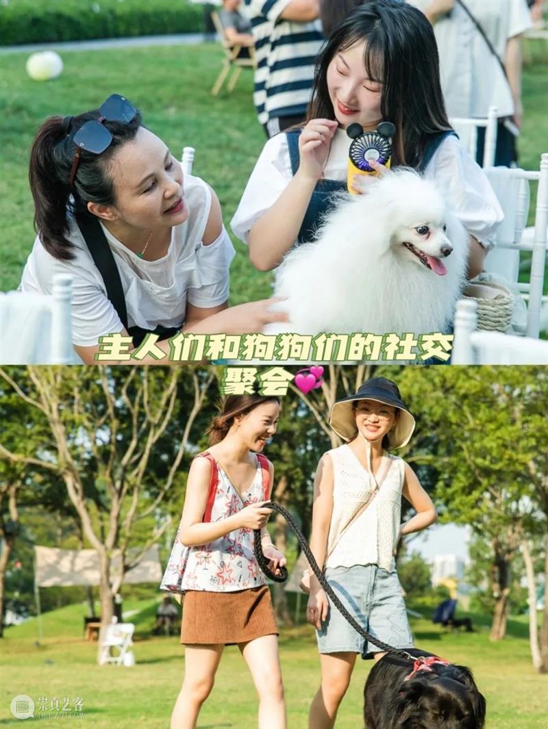 首届萌宠户外party,共建人宠露营新场域! 崇真艺客