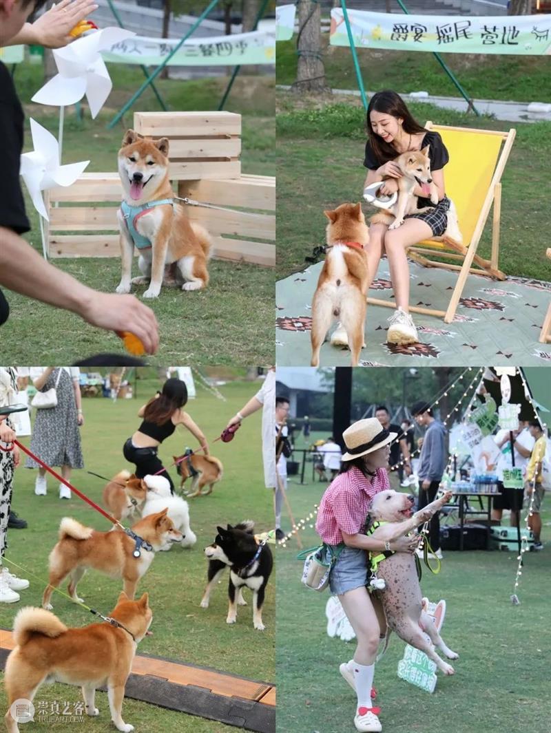 首届萌宠户外party,共建人宠露营新场域! 崇真艺客