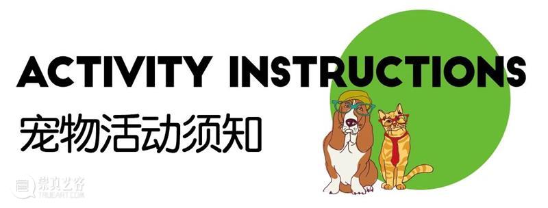 首届萌宠户外party,共建人宠露营新场域! 崇真艺客