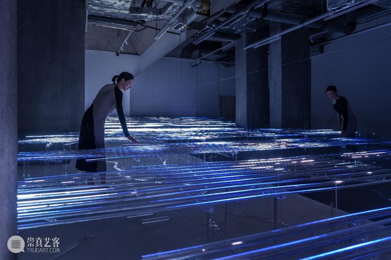 她用AI人工智能在上海生成了一片“光之海” 崇真艺客