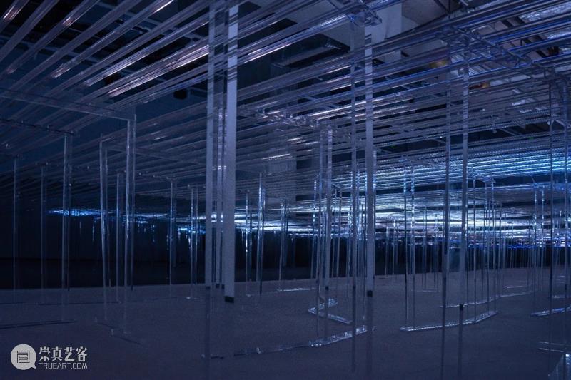 她用AI人工智能在上海生成了一片“光之海” 崇真艺客