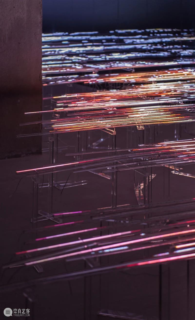 她用AI人工智能在上海生成了一片“光之海” 崇真艺客