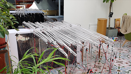 她用AI人工智能在上海生成了一片“光之海” 崇真艺客