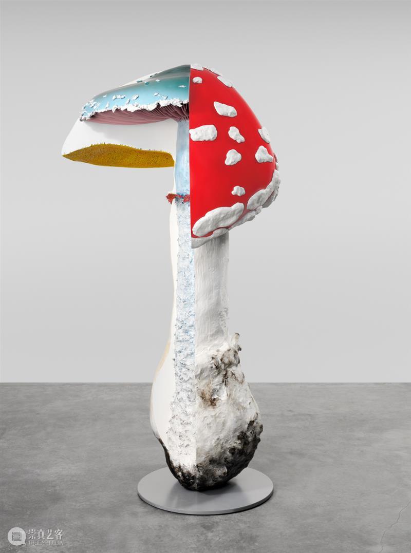 高古轩巴黎｜Carsten Höller：我想做出地球上最复杂的时钟 崇真艺客