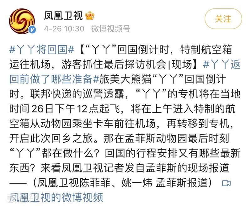 丫丫即将回国！萌化全世界的滚滚，百年前却曾遭灭顶之灾？ 崇真艺客