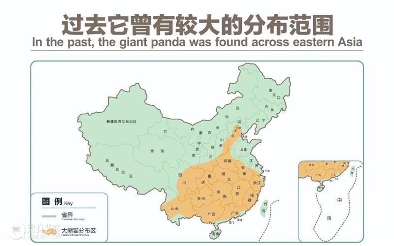 丫丫即将回国！萌化全世界的滚滚，百年前却曾遭灭顶之灾？ 崇真艺客