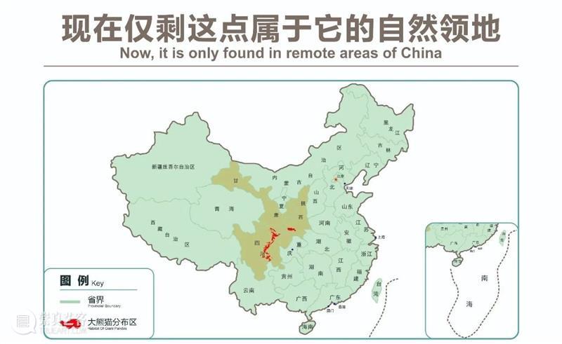丫丫即将回国！萌化全世界的滚滚，百年前却曾遭灭顶之灾？ 崇真艺客