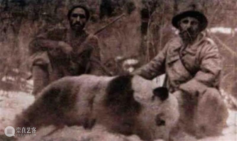 丫丫即将回国！萌化全世界的滚滚，百年前却曾遭灭顶之灾？ 崇真艺客