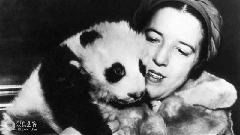 丫丫即将回国！萌化全世界的滚滚，百年前却曾遭灭顶之灾？ 崇真艺客