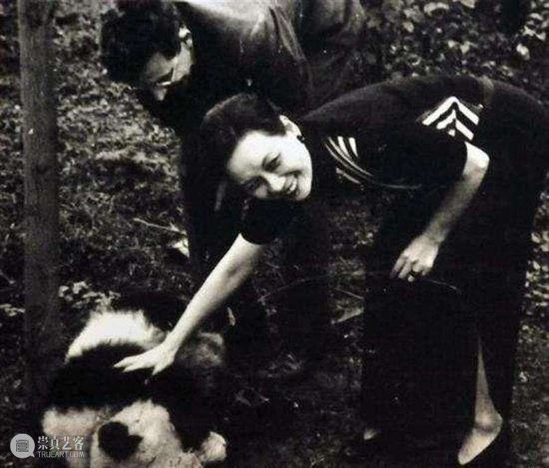 丫丫即将回国！萌化全世界的滚滚，百年前却曾遭灭顶之灾？ 崇真艺客