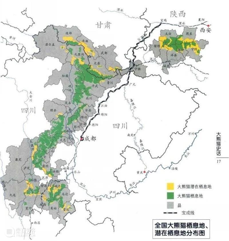 丫丫即将回国！萌化全世界的滚滚，百年前却曾遭灭顶之灾？ 崇真艺客