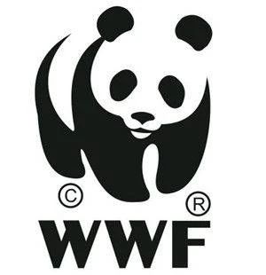 丫丫即将回国！萌化全世界的滚滚，百年前却曾遭灭顶之灾？ 崇真艺客