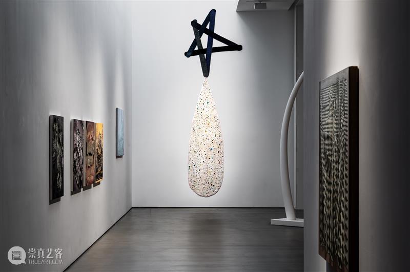 逸空间 参展艺术家|郑恺伽、张凌瑞、赵彤宇 崇真艺客