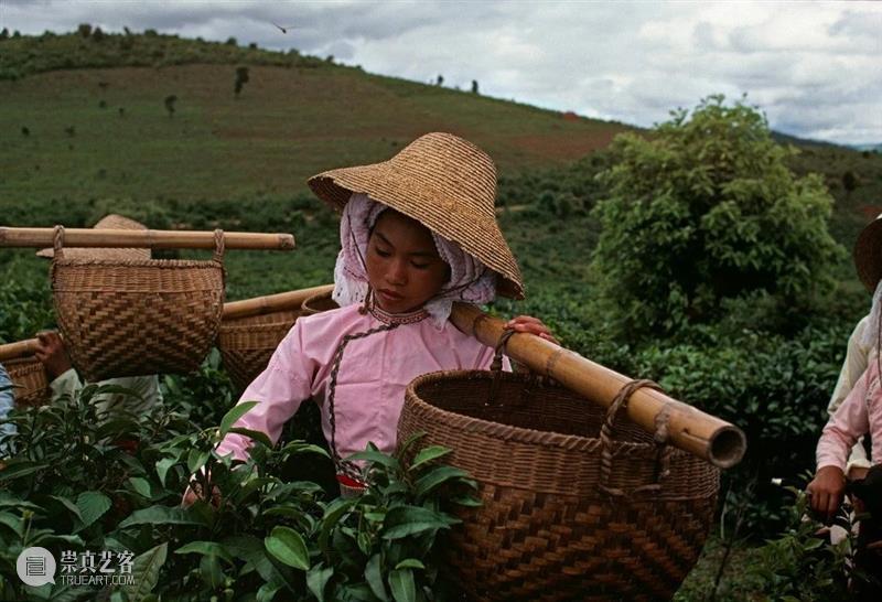 世界著名摄影师镜头中的“茶” 崇真艺客