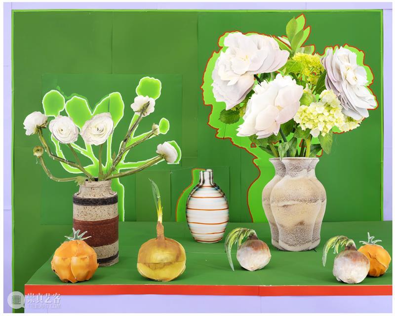 Daniel Gordon|自由变换: 植物,容器,梨,虚与实 崇真艺客