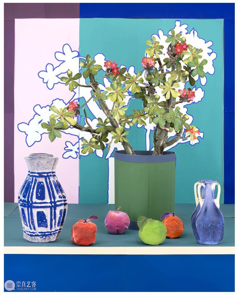 Daniel Gordon|自由变换: 植物,容器,梨,虚与实 崇真艺客