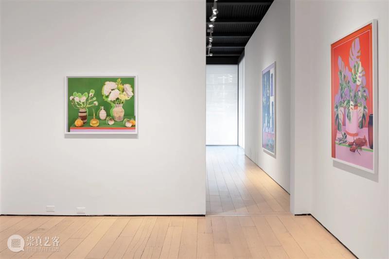 Daniel Gordon|自由变换: 植物,容器,梨,虚与实 崇真艺客