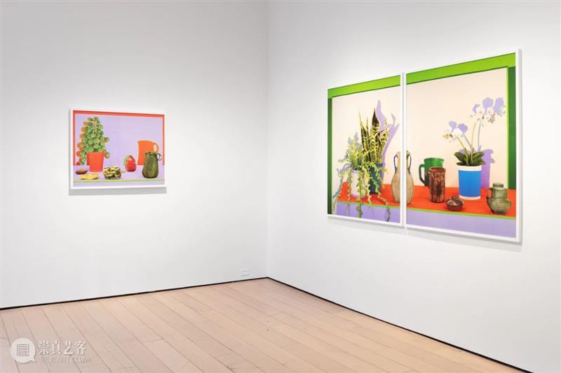 Daniel Gordon|自由变换: 植物,容器,梨,虚与实 崇真艺客