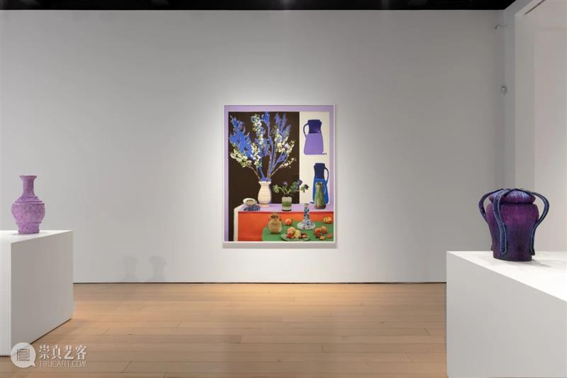 Daniel Gordon｜自由变换: 植物，容器，梨，虚与实 崇真艺客