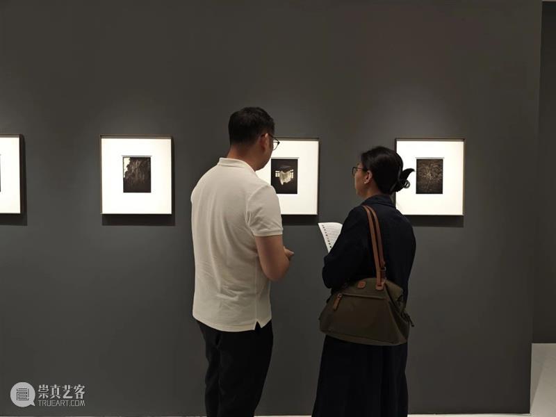 M50展览现场｜骆丹：《行传》 崇真艺客