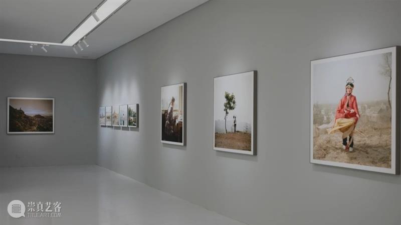 M50展览现场｜骆丹：《行传》 崇真艺客