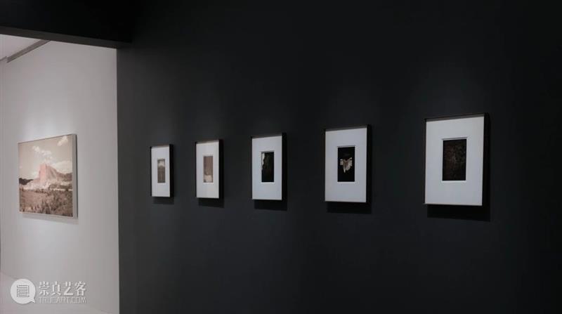 M50展览现场｜骆丹：《行传》 崇真艺客