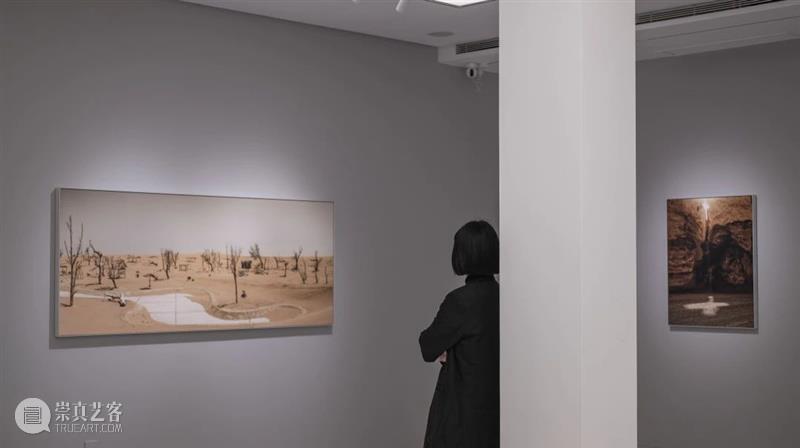 M50展览现场｜骆丹：《行传》 崇真艺客