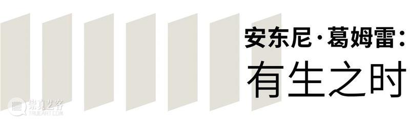 TAG指南 | 假期大展有哪些？看这一篇就够！ 崇真艺客