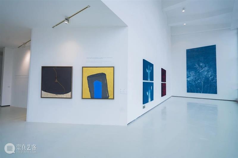 现场 | “文明的尺度——中国与意大利当代艺术展” 暨“中意文化旅游年”艺术交流项目开幕 崇真艺客