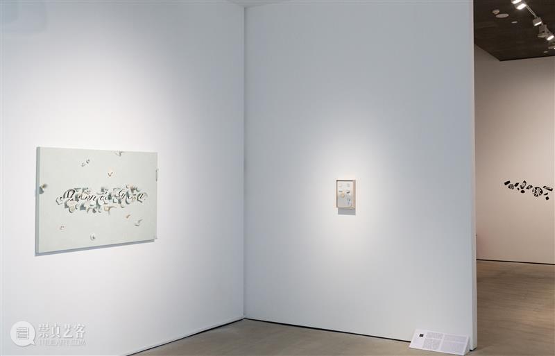 万一对话｜洪浩：我想将这些“无价值”的东西另外生成一种价值 崇真艺客