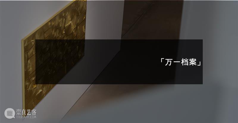 万一对话｜洪浩：我想将这些“无价值”的东西另外生成一种价值 崇真艺客