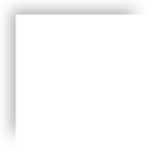 老鹰，尹铸胜 崇真艺客