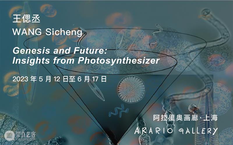 阿拉里奥画廊参加艺术釜山2023｜5月4日至7日｜展位E13 崇真艺客