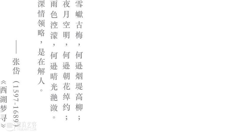 艺术家动态 |  《天涯》郑在东个展 崇真艺客