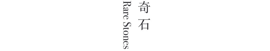 艺术家动态 |  《天涯》郑在东个展 崇真艺客