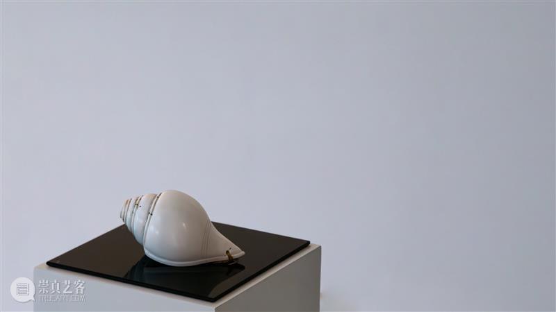 新展预告 | 「声之海」八木良太个展 崇真艺客