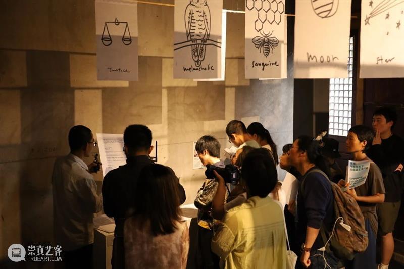 回顾丨涌现:气候危机下的生态艺术行动 崇真艺客