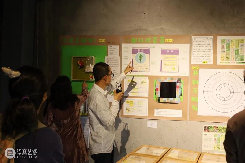 回顾丨涌现:气候危机下的生态艺术行动 崇真艺客