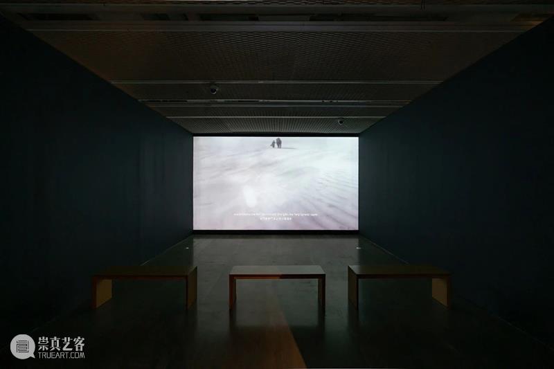 动态 | 没顶画廊艺术家4月-5月展览现场与资讯 崇真艺客
