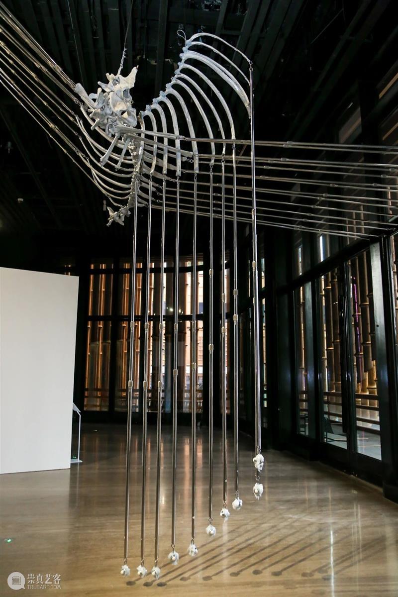 动态 | 没顶画廊艺术家4月-5月展览现场与资讯 崇真艺客