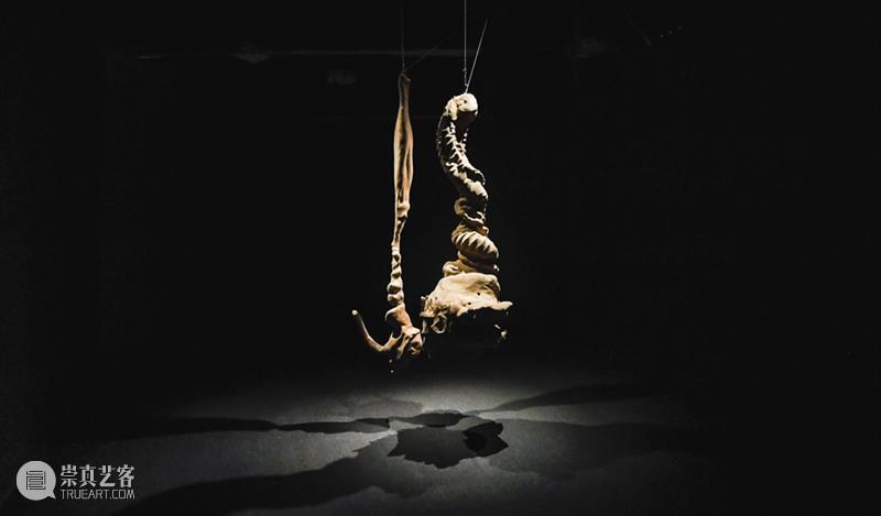 动态 | 没顶画廊艺术家4月-5月展览现场与资讯 崇真艺客