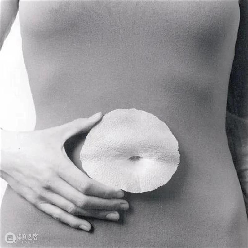 【IFA-艺术赏析】Gerd Rothmann | 肌肤之上 崇真艺客