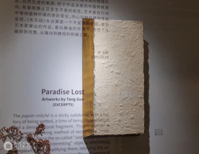 HANYANG精品推荐 | 汤国 作品欣赏(一) 崇真艺客