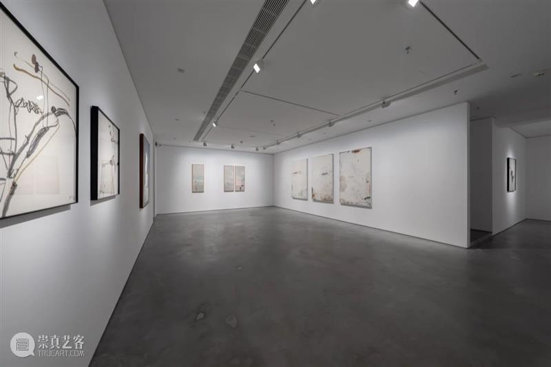 PAM展览｜严善錞艺术档案 崇真艺客