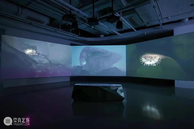 上海5月 | 15个不可错过的新媒体艺术展·演 崇真艺客