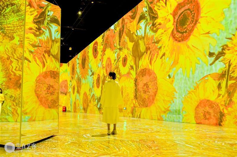 上海5月 | 15个不可错过的新媒体艺术展·演 崇真艺客